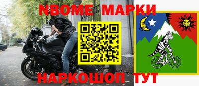 тгк Новодвинск