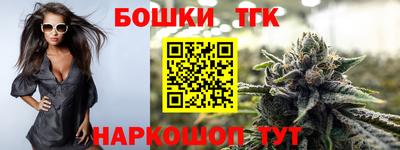 тгк Новодвинск