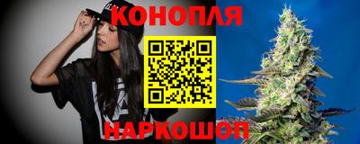 тгк Новодвинск