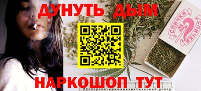 тгк Новодвинск