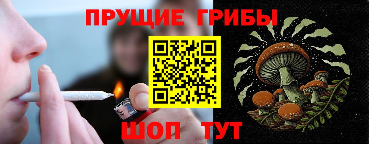 Псилоцибиновые грибы мухоморы  Галлюциногенные грибы MAGIC MUSHROOMS  где продают наркотики  Сальск  Вход с VPN 